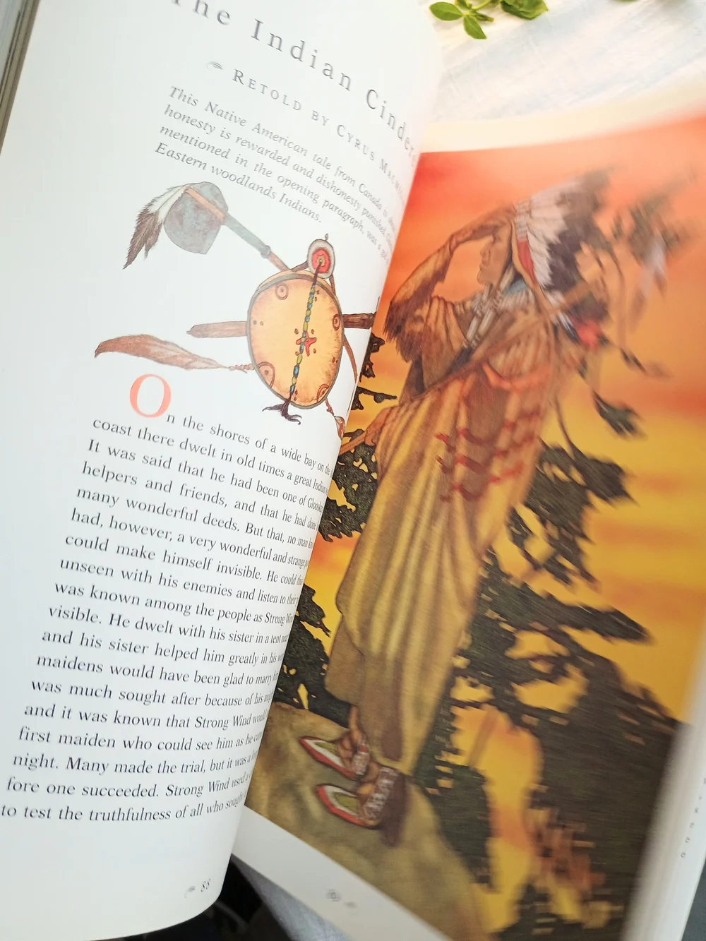 🤸🏻‍♂️ KIDS CORE🤸🏻‍♂️ VTG 1995 The Children's Book of Virtues, Childhood Core